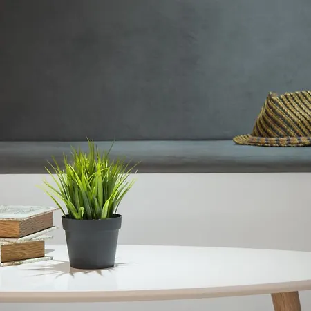Cliff Studio Apartment